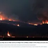 Criză în Castilla y León: Ministrul Mediului, criticat dur după incendiile de pădure