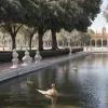 Se închide parcul María Luisa din Sevilla după moartea unor rațe: ce se întâmplă?