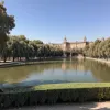 Sevilla înregistrează noi focare de gripă aviară, ecologiștii trag un semnal de alarmă