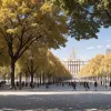 Un avocat învinge în instanță primăria Madridului: orașul nu va avea containere de gunoi în parcuri și avantaje pentru partide
