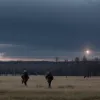 Viața la granița NATO cu Rusia: locuitorii Poloniei despre temeri și calm