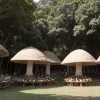Imagini de la Festivalul Cultural al Ciupercilor 2025 din Oaxaca