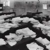Confuzie Nazi: Flegel și Bormann