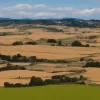 La fiecare 16 zile, o persoană dispare involuntar în Zamora: Cum sunt căutate într-o provincie depopulată și îmbătrânită