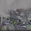 Madrid expune public grafferiții: «Este din secolul trecut»